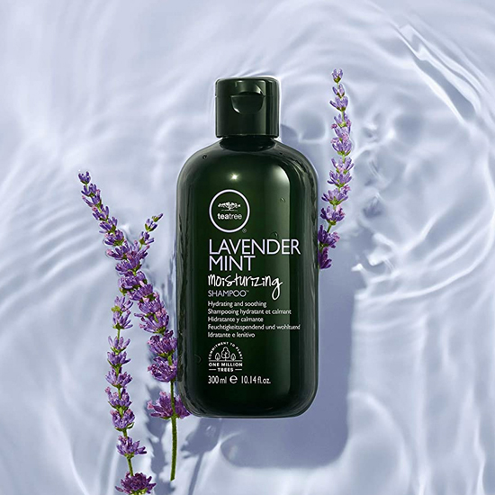 TeaTree-Shampoing-Lavender-Mint-550px
